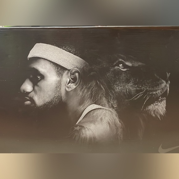 Authentic Nike LeBron 8 Space Jam “A New Legacy” - Picture 6 of 8